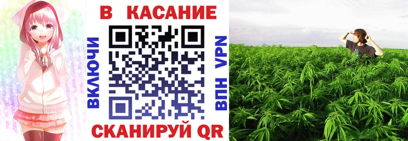 Где купить наркоту Дмитров Конопля 