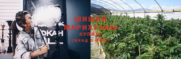 винт Аша