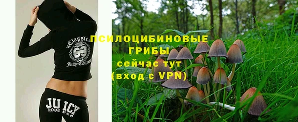 винт Аша
