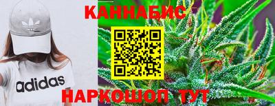 крисы Бийск