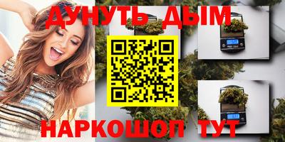 крисы Бийск