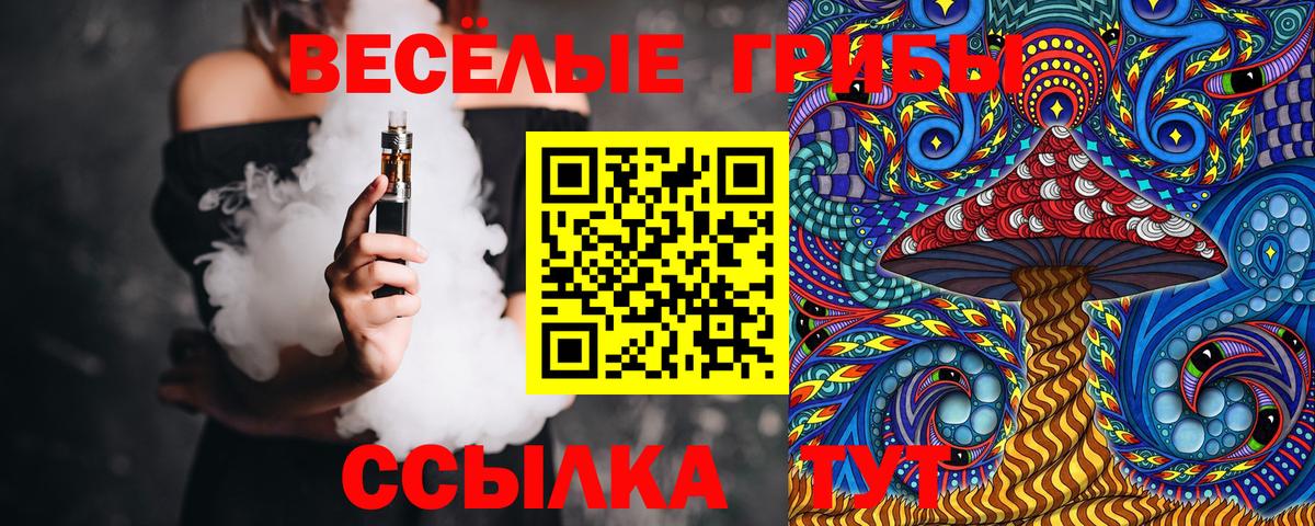 Галлюциногенные грибы MAGIC MUSHROOMS  Вход с VPN  Дмитров 