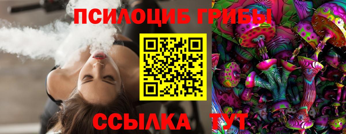 где купить   Дмитров  Галлюциногенные грибы ЛСД 